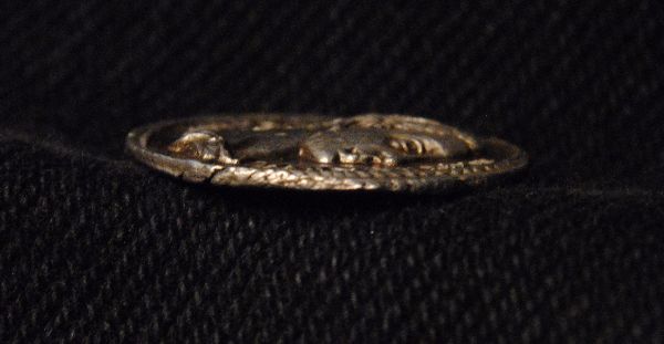 A-Beautiful-Denarius-?-Or-An-Awesome-Fake-?